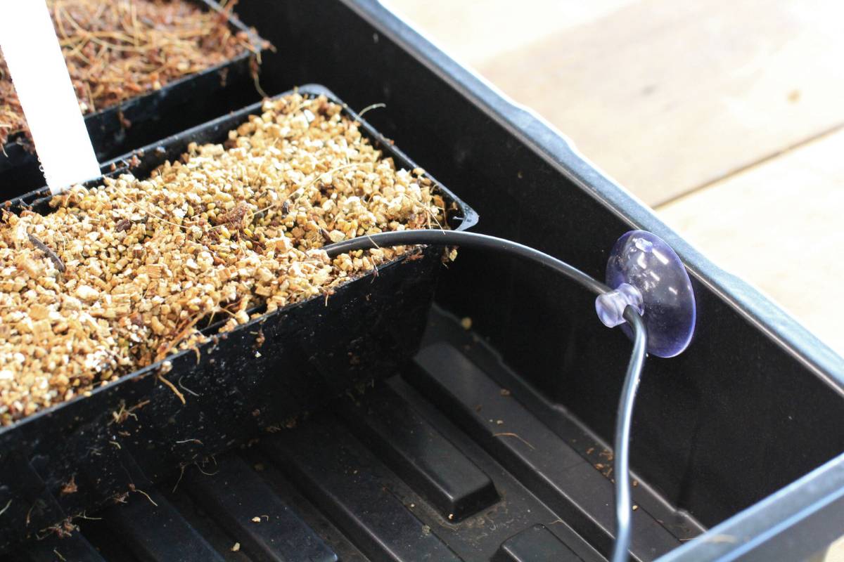 How to Set Up a Heated Propagation Kit The Seed Collection